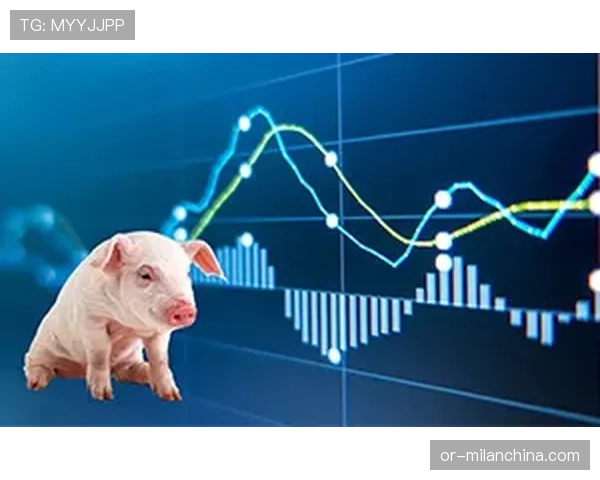 国米阵容老化风险逐步反映，对争冠形势及稳定性产生影响