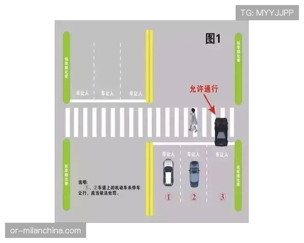 NBA判罚标准详解：手部接触判定的尺度与适用场景解析